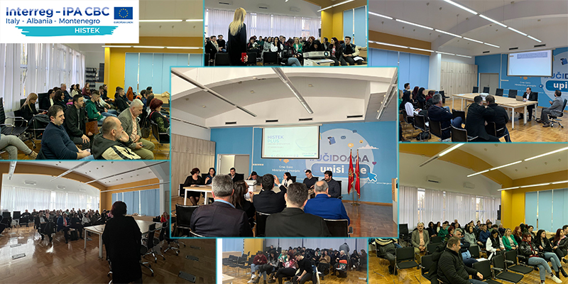 Collage of photos from the HISTEK seminar