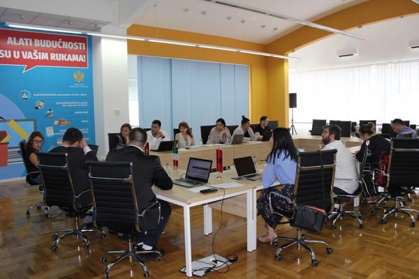 Mid-term review meeting