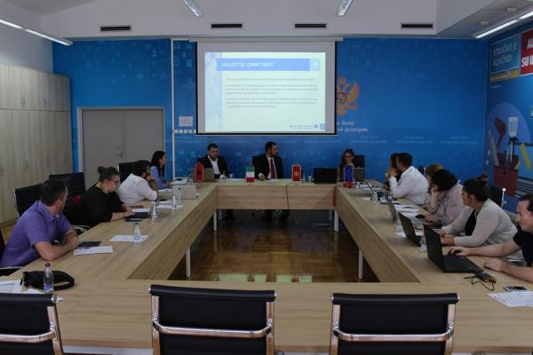 Mid-term review meeting